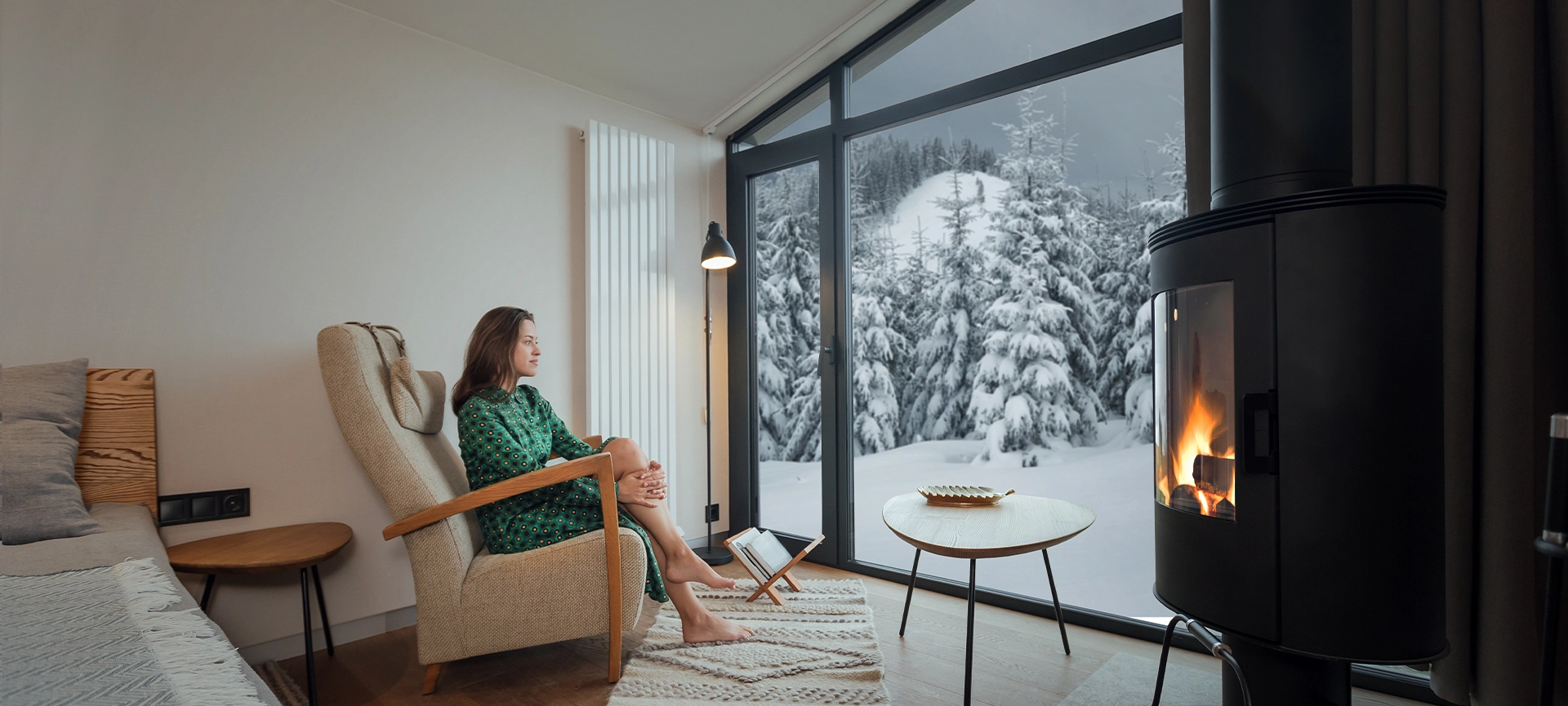 window and door in winter days