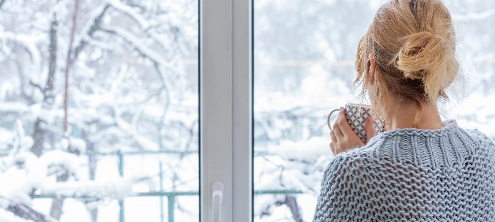 high quality window act as shield against the harsh winters