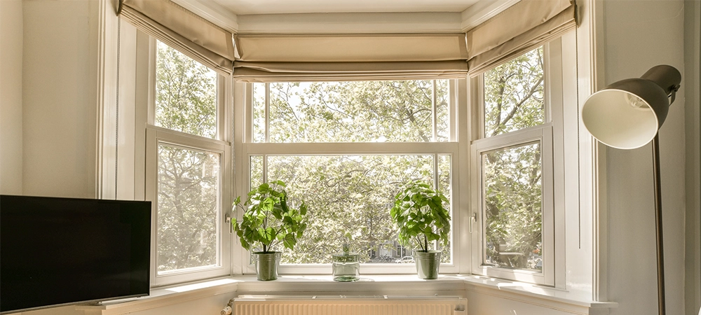 a living room with a large window and some plants on the windowsills in front of the tv screen