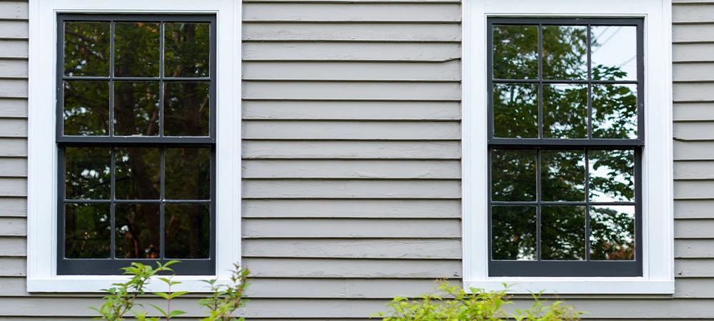 Two vintage identical double hung windows with trees reflecting on a beige color exterior wall. The windows are dark green with white trim. There are two small green shrubs in front of the building.